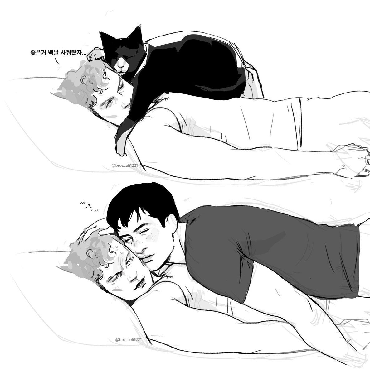 보리꼬리 tweet media