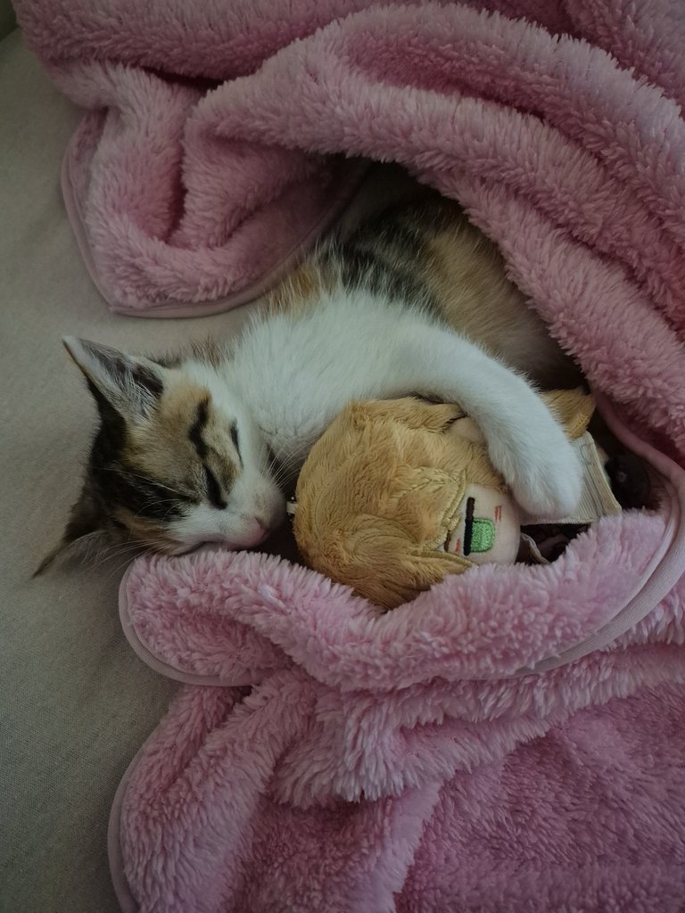 chill bud hes all yours