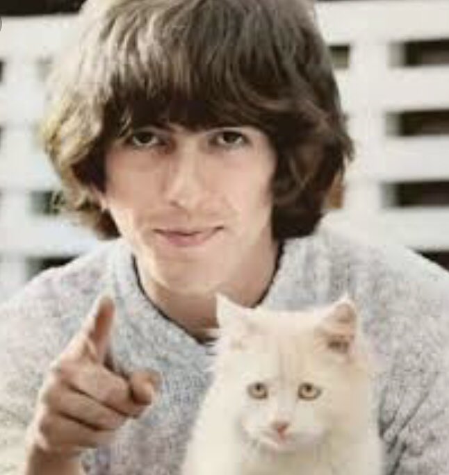 #HappyCaturday 😊
#GeorgeHarrison