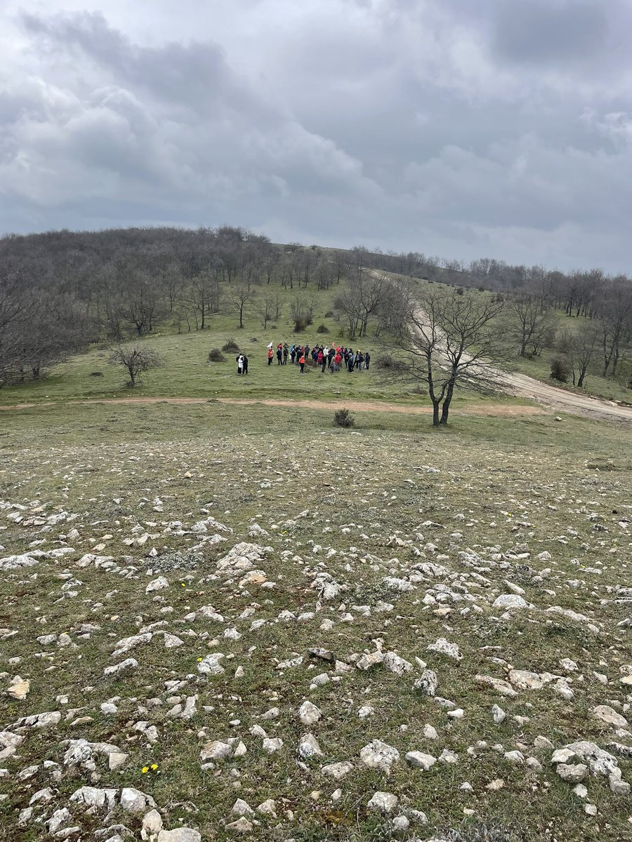 Fuat Serdar Aydın💯 tweet media