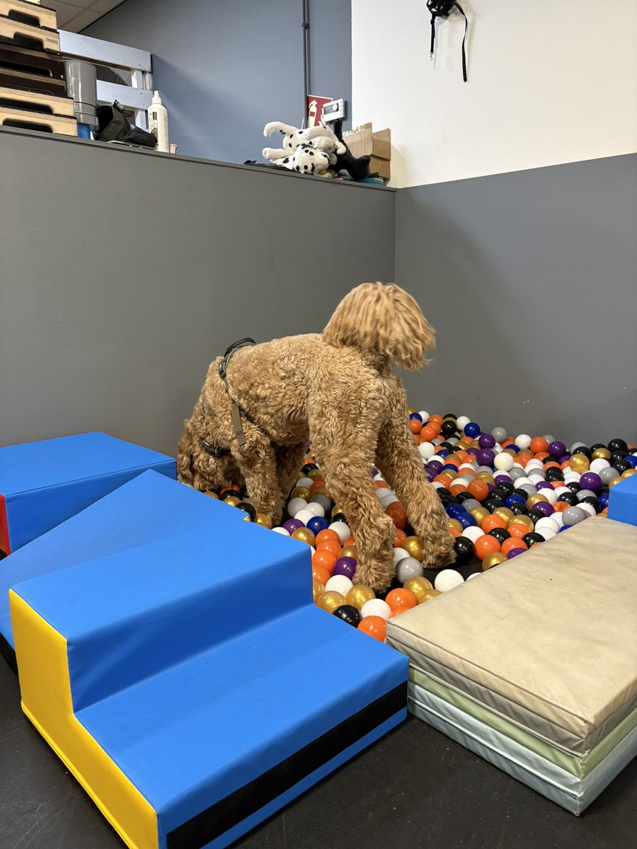 Stephan van Huis tweet media