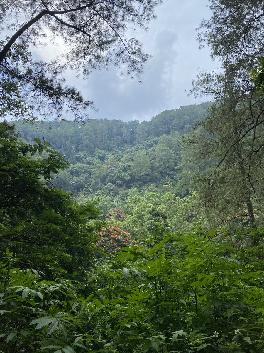 𝑺𝒂𝒃𝒊𝒏𝒆. tweet media