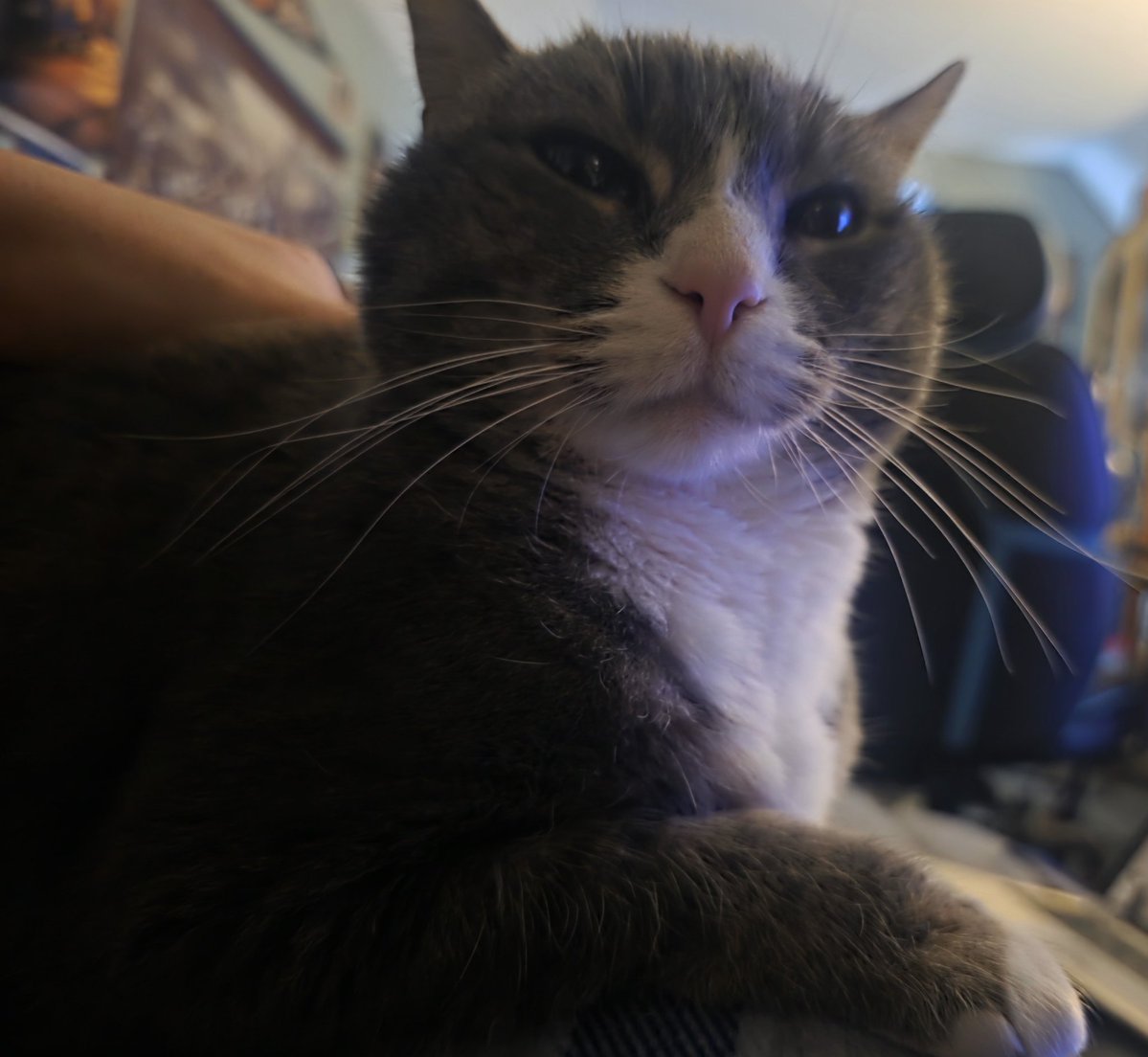 LiftQueen SFW (100/100) tweet media