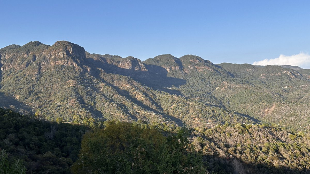 PetrOndracek10's tweet photo. 🇲🇽/41 Takže, pokud se chcete v okolí #Taxco zchladit, musíte se vydat 30 km druhým směrem. #PozasAzules jsou kaskády s modrými jezírky (travertinovými teráskami), kterými protíká (bohužel dost studená) minerální voda. Právě ta dává jezírkům tyrkysovou barvu. Místo spravuje a těží z něho místní komunita, jejich návštěva tedy pomáhá ekonomicky i místním.