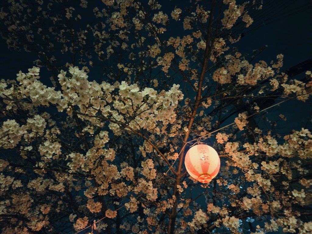 merry🐰 tweet media