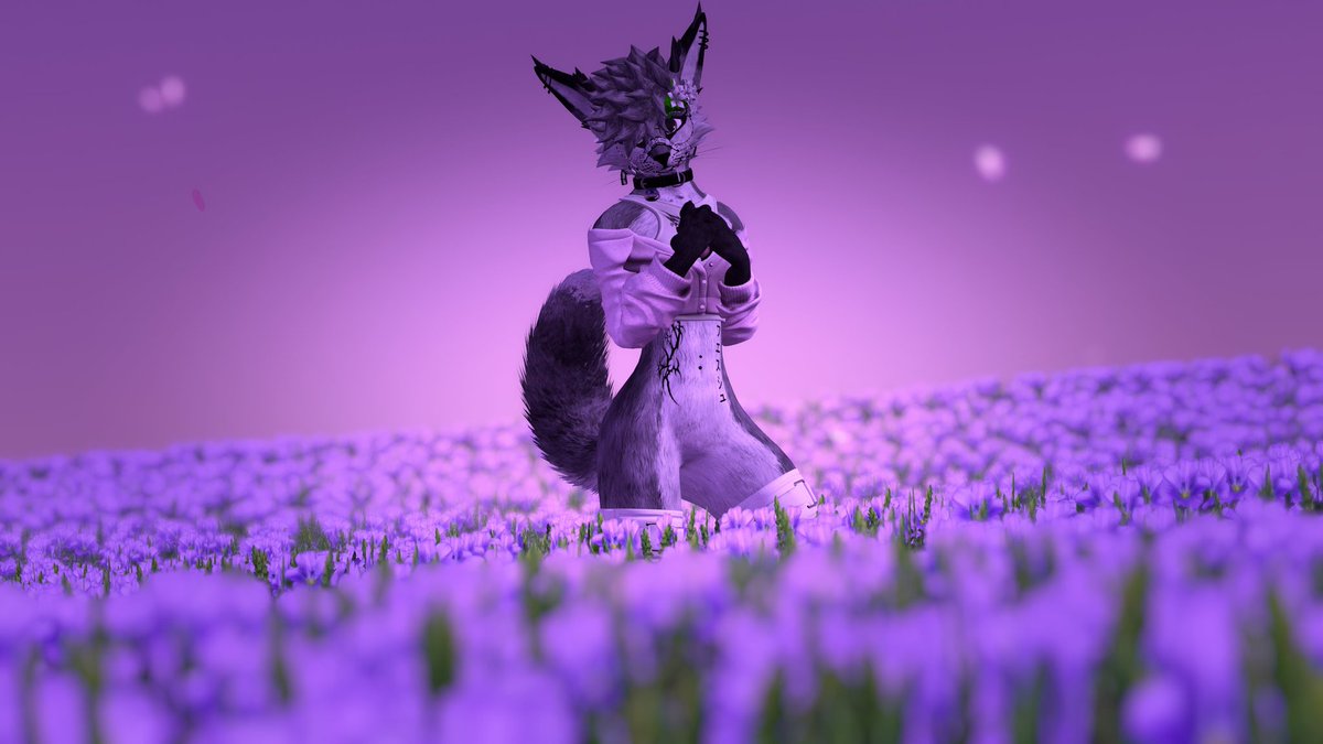 JustTheFox0's tweet photo. @RizuBean https://t.co/NiJYx3FPTp