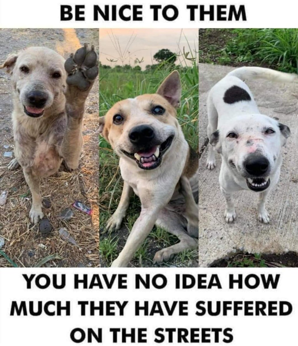 Χλε_Μπονα Σαμερ tweet media