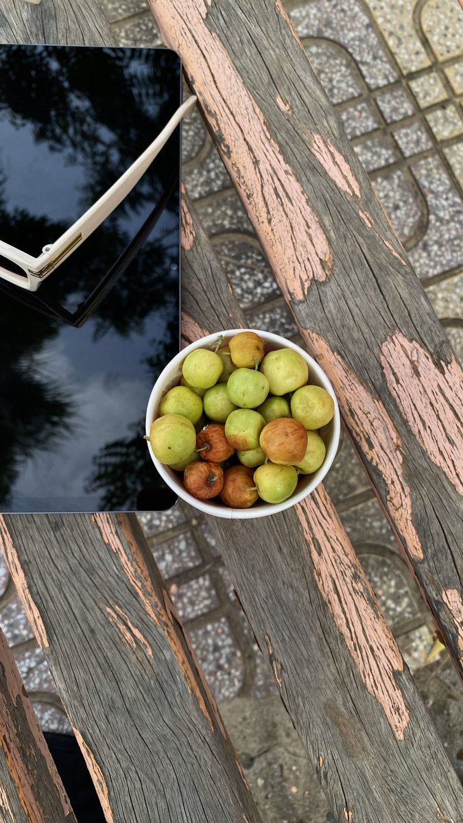 رَغـد tweet media