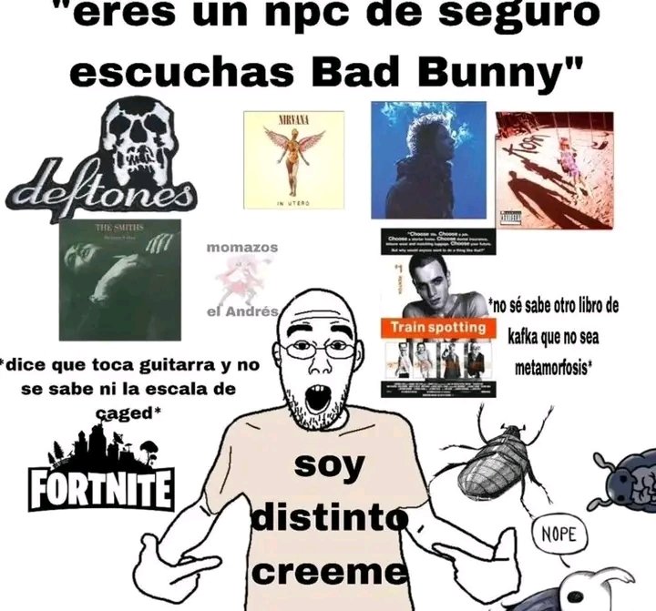 Snor 🐢 tweet media