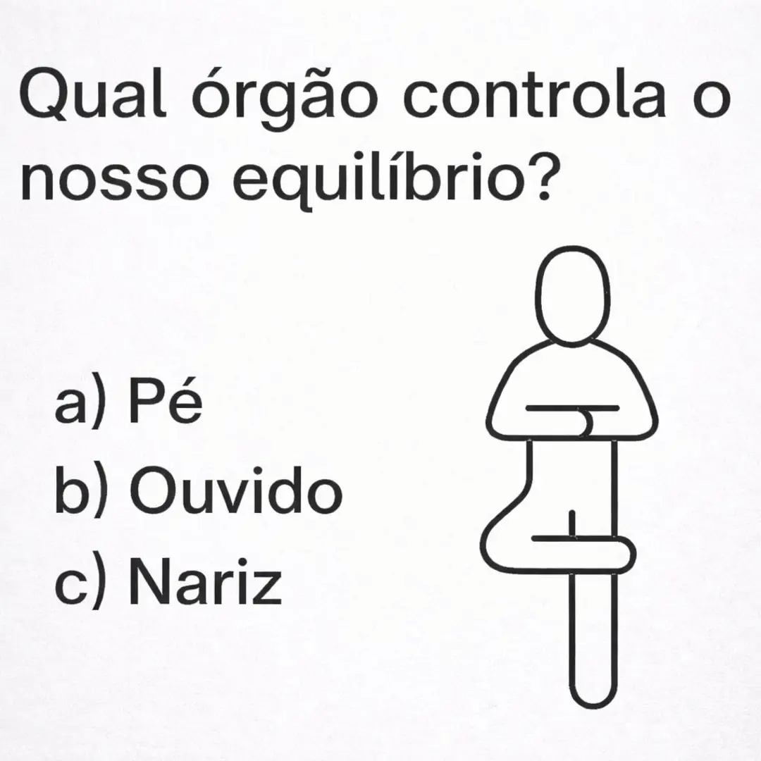 Vandinha tweet media