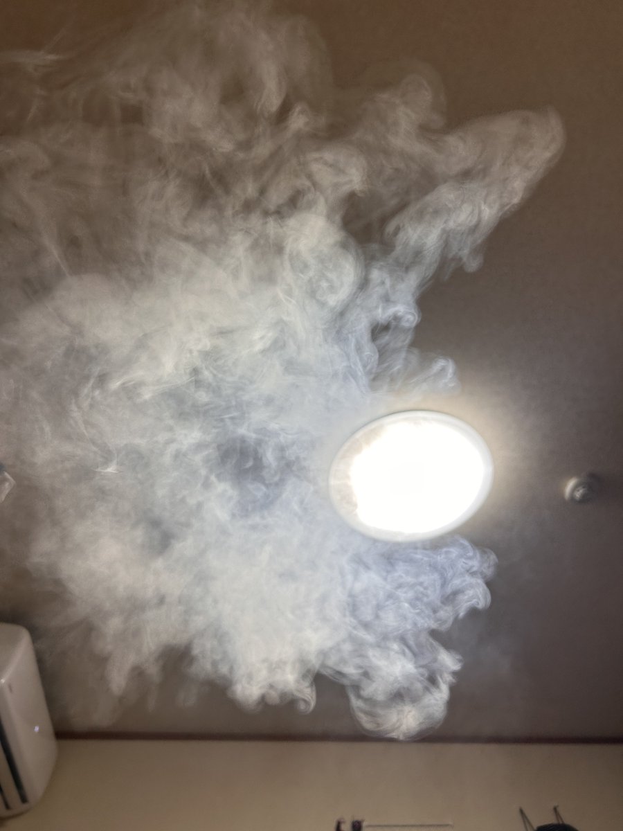 ウチコ《王蛇》👑🐍 tweet media