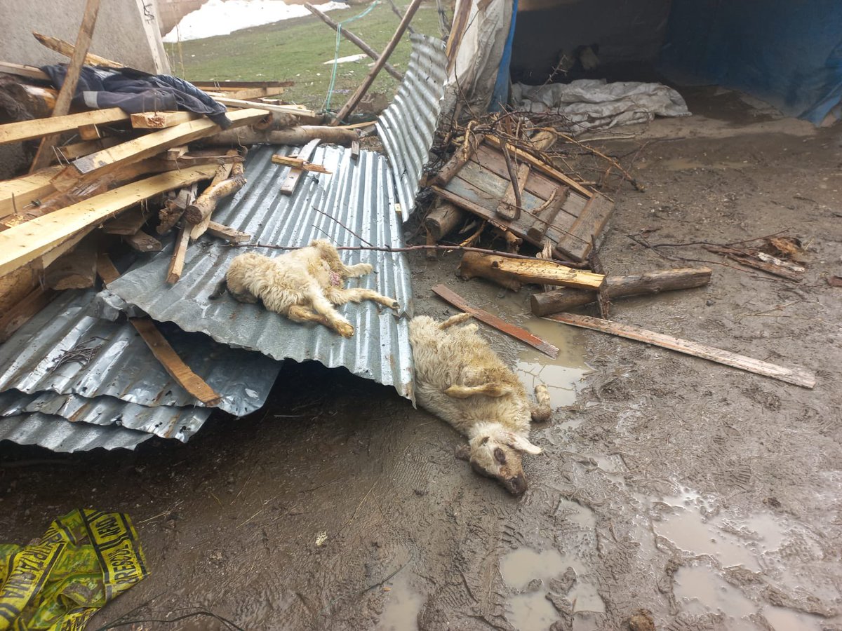 Van İl Tarım ve Orman Müdürlüğü tweet media