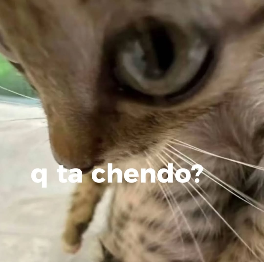 Cap Briagowsky tweet media