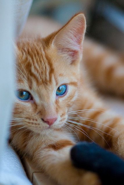 Jörg Rainer tweet media