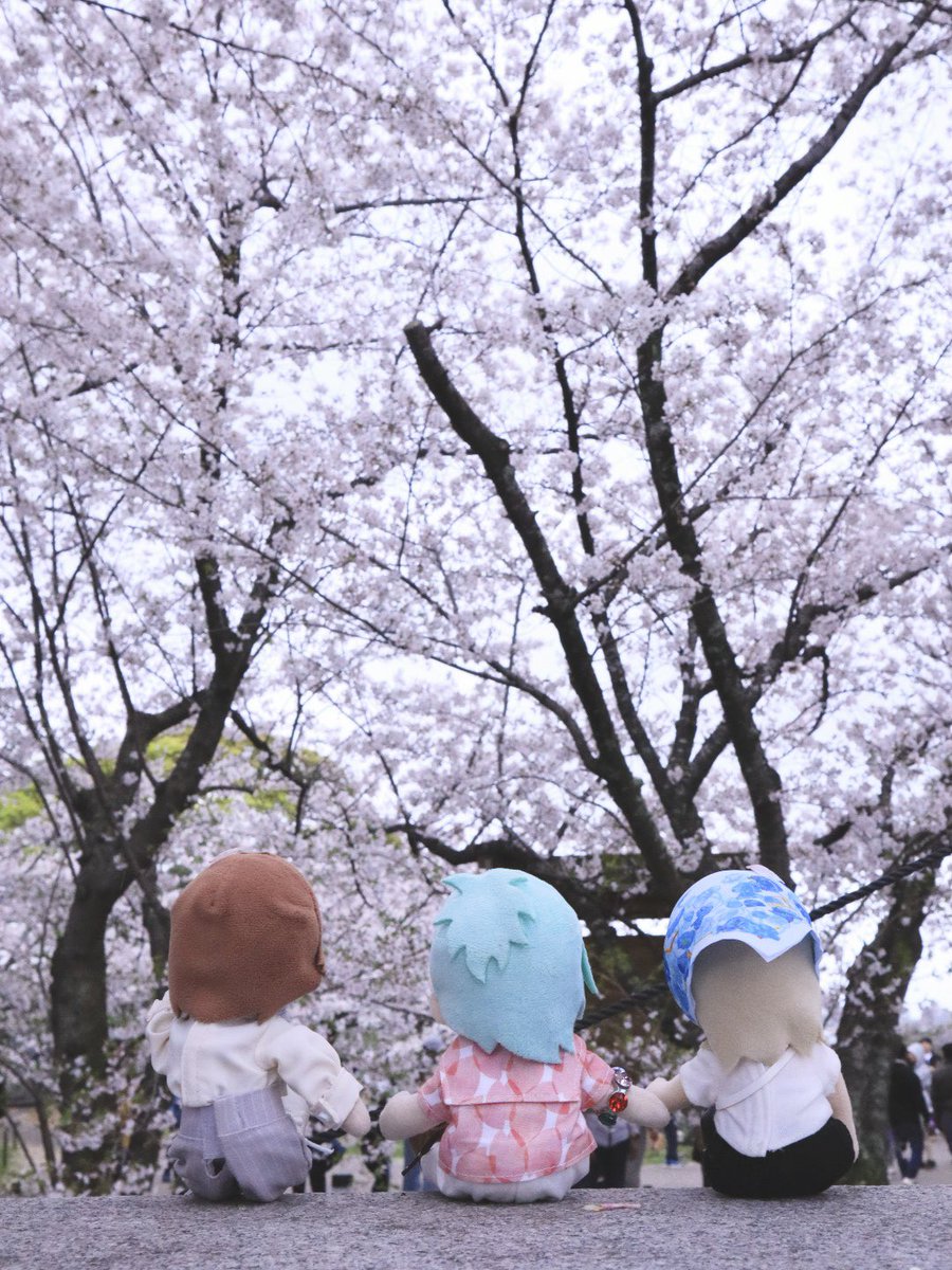 砂糖のひと tweet media