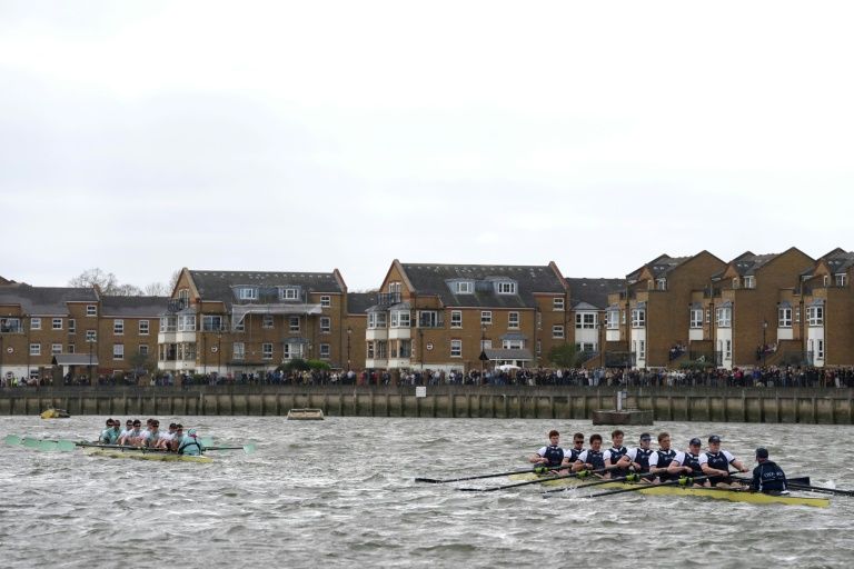 dgt.report tweet media