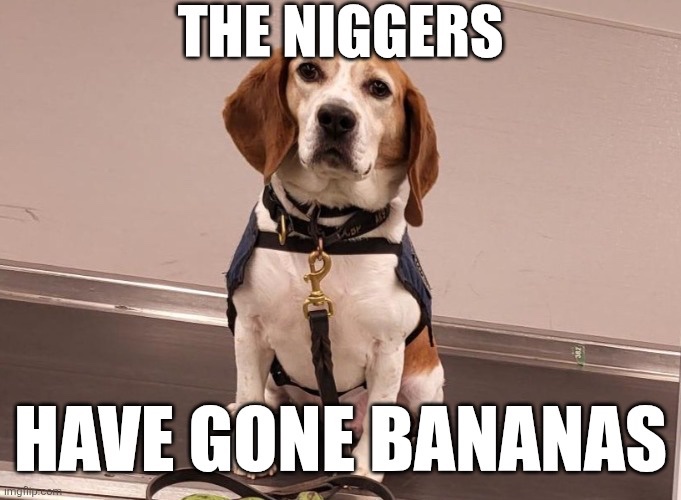 DoctorRommelhhxx tweet media