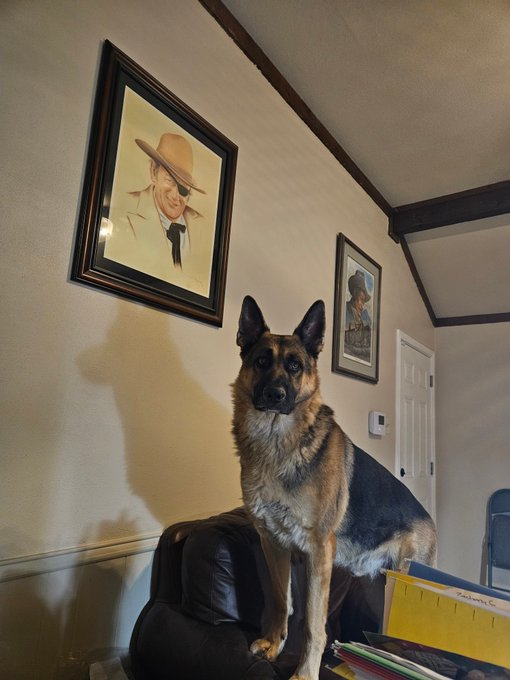 Chris Bear tweet media