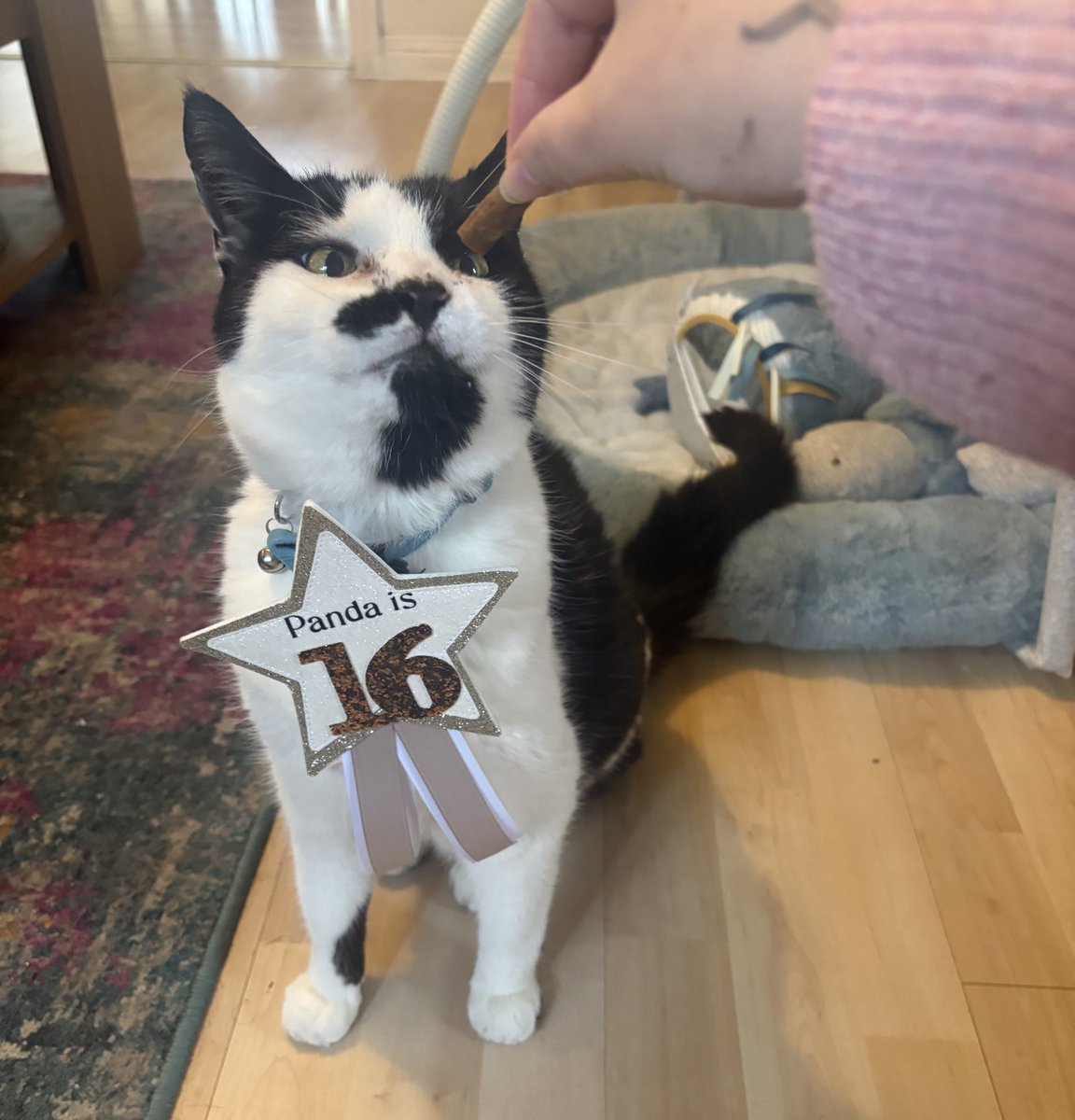 Cara Lisette tweet media