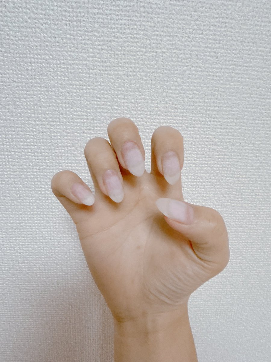 𝒮 🎀 tweet media