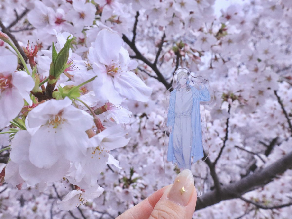 砂糖のひと tweet media