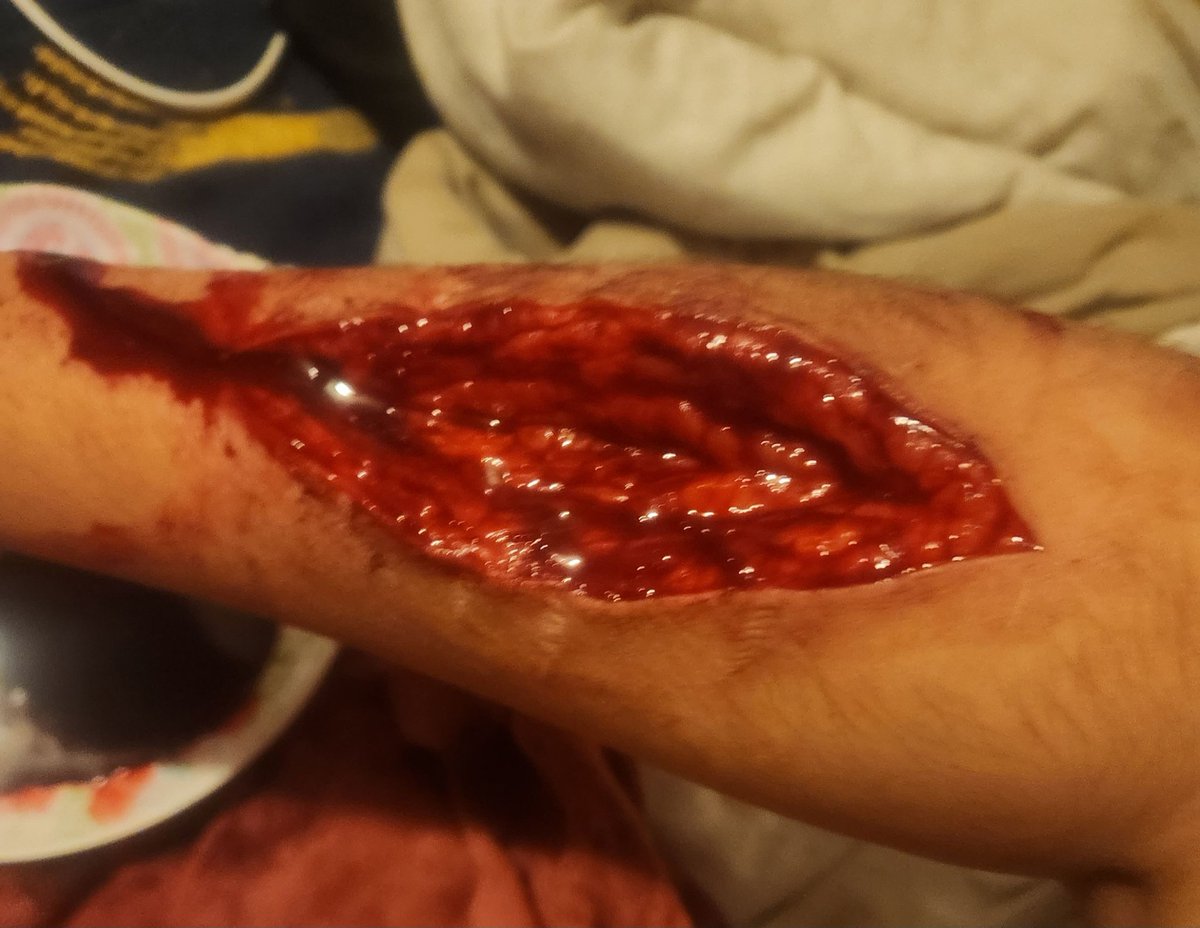 cat shtwt tweet media