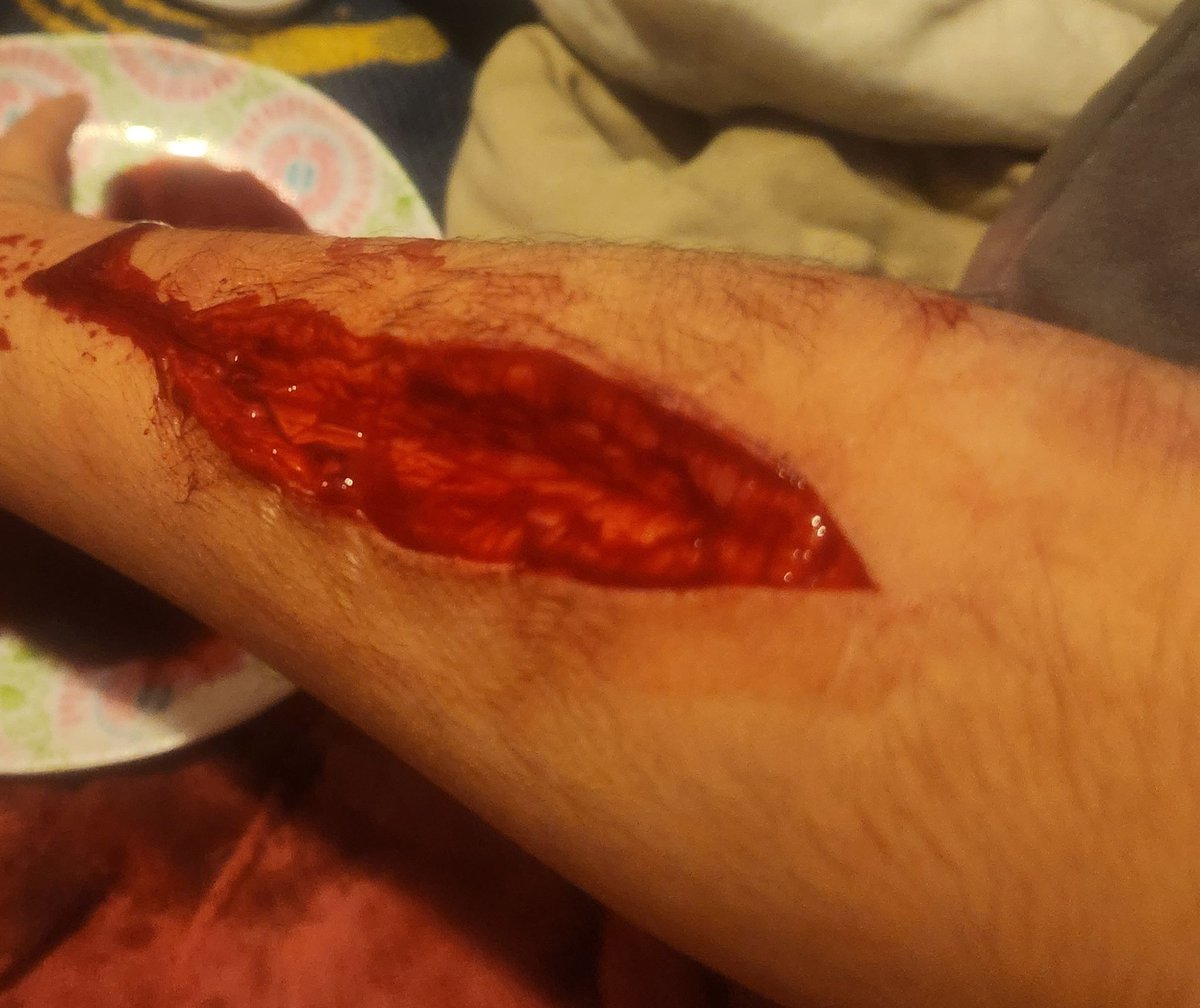 cat shtwt tweet media