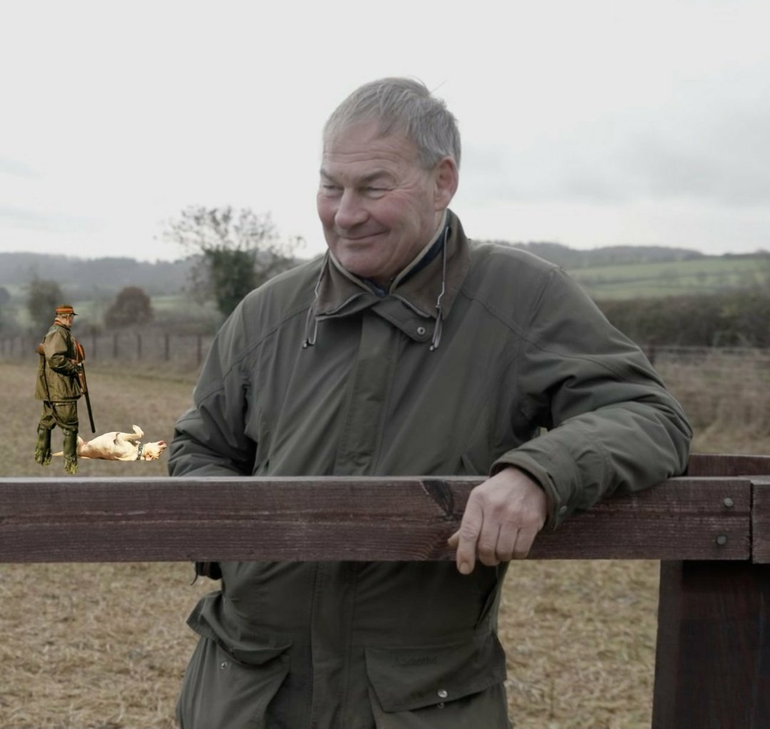 monkey 🐒 tweet media