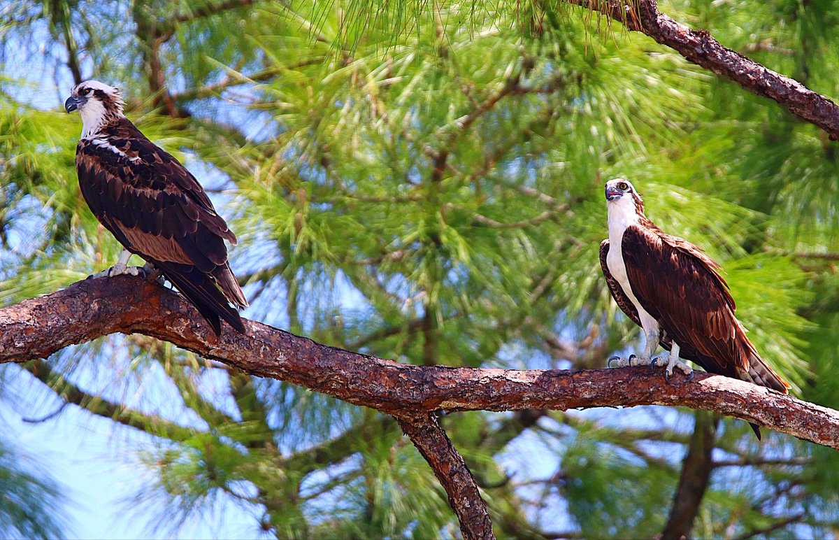 Henry Huecker tweet media