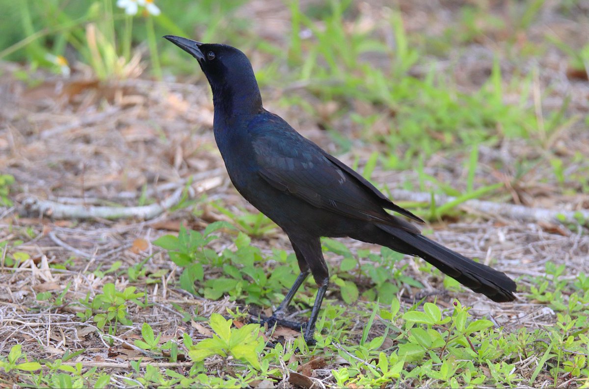 Henry Huecker tweet media