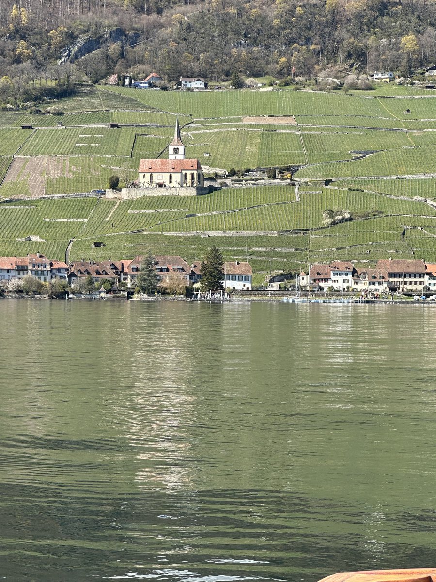 philippezogg's tweet image. Frühling auf dem See