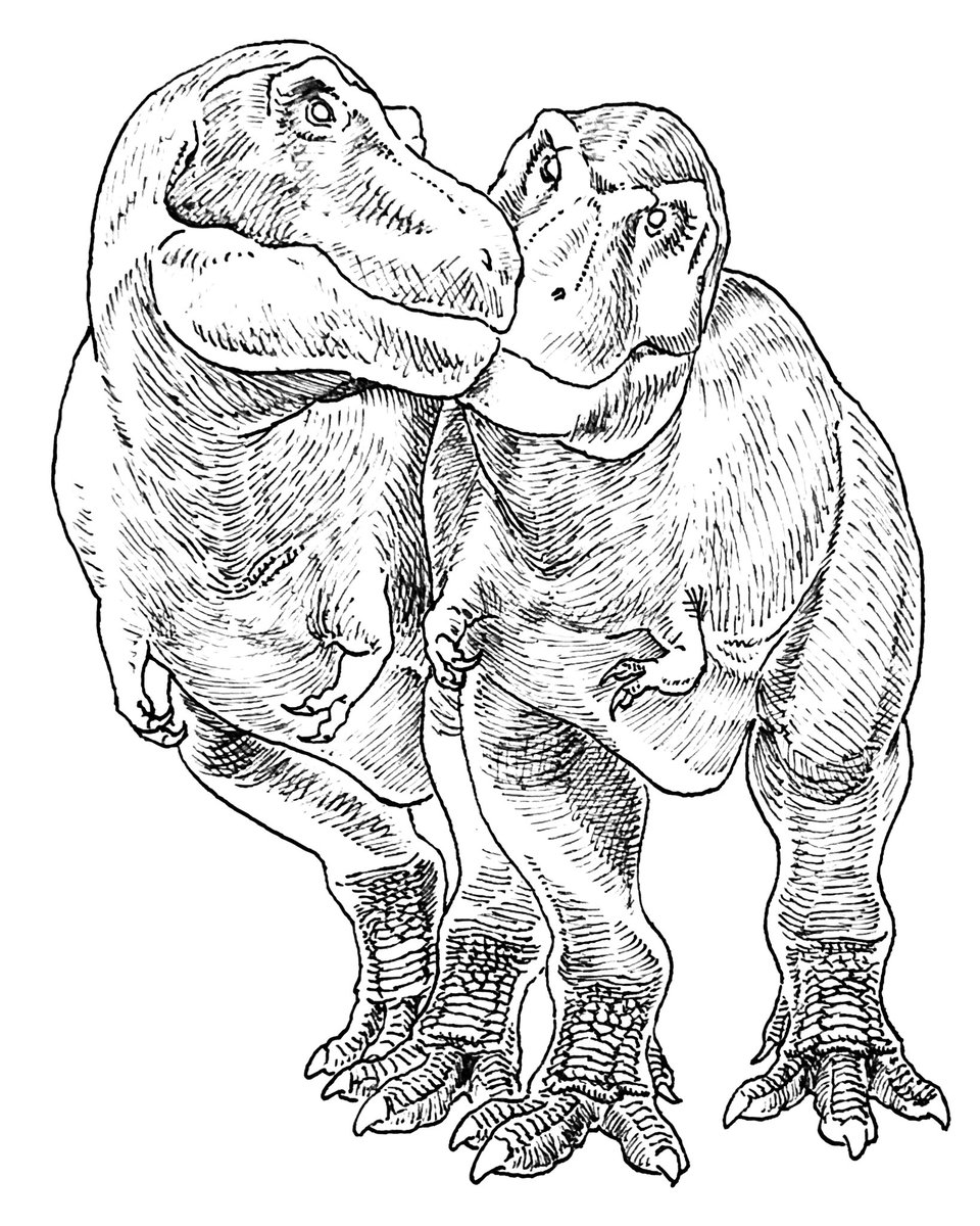 ティラノサウルスのペア。