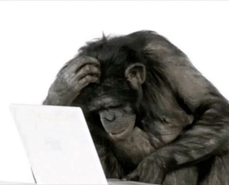 GooseAgain tweet media