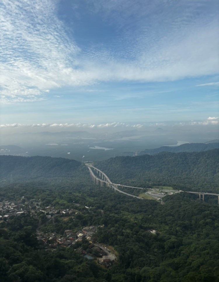 Rafael 🇧🇷 tweet media