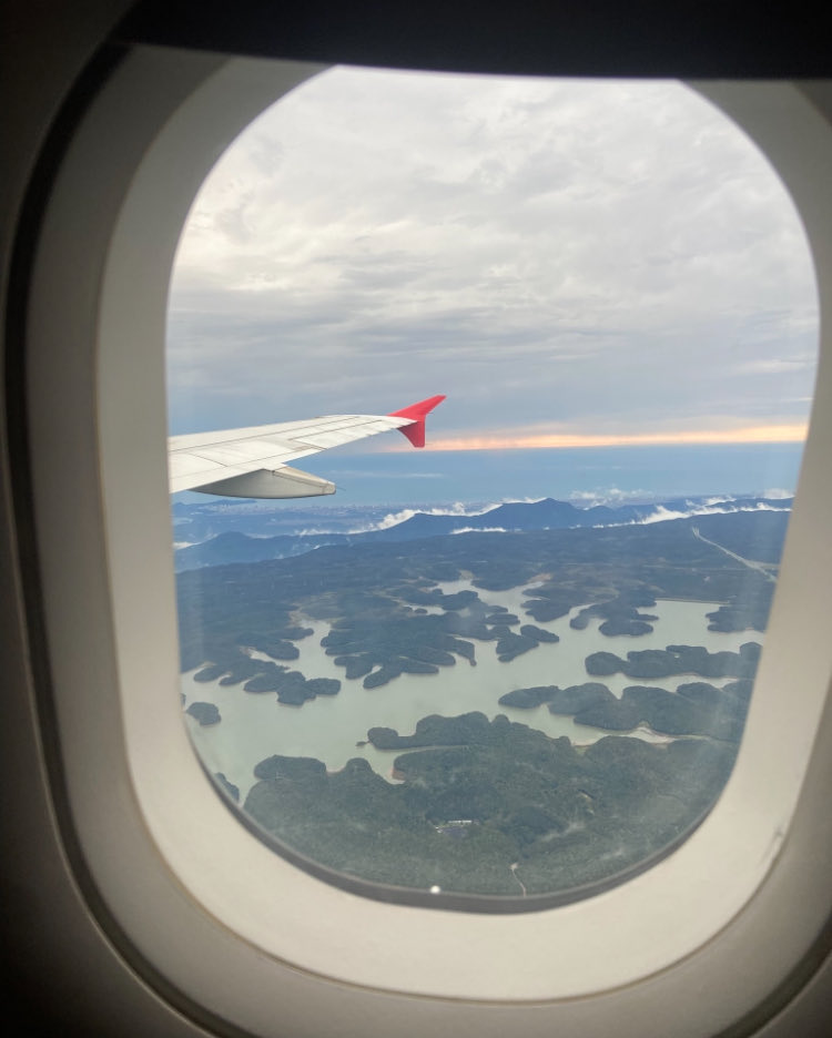 Rafael 🇧🇷 tweet media