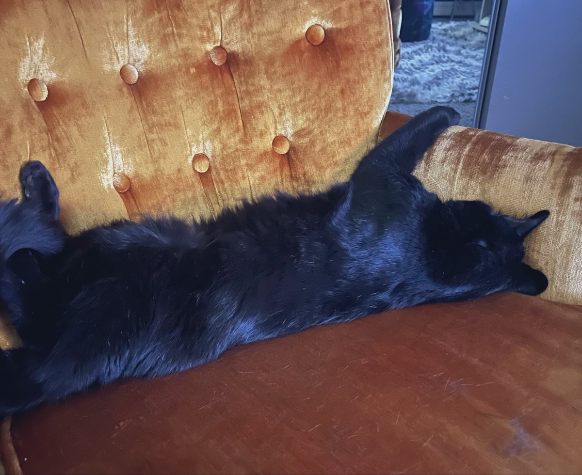 Daria Fidyk 🇨🇦🇺🇦 tweet media