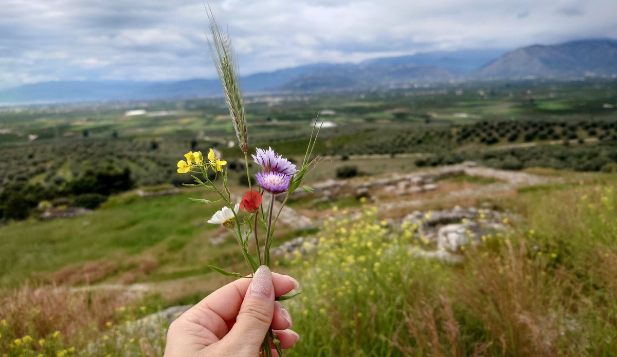 ふたば tweet media