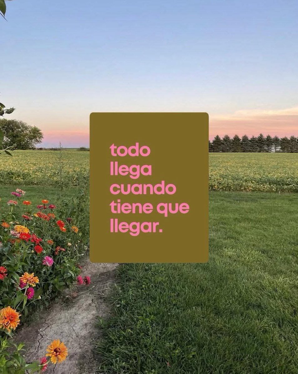 Lonely🥀 (@angelo_uf) on Twitter photo 