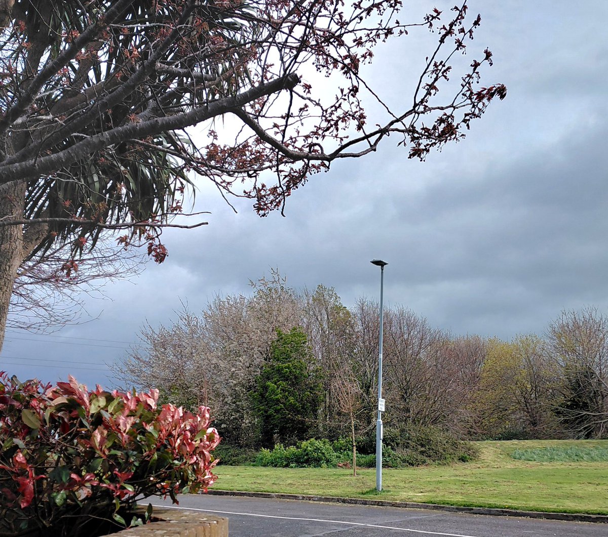 ZoeMillerAuthor's tweet image. Out before #StormDave Wishing a #HappyEaster to all the walking / photography crews 🐣💐🍫#100daysofwalking #round6crew