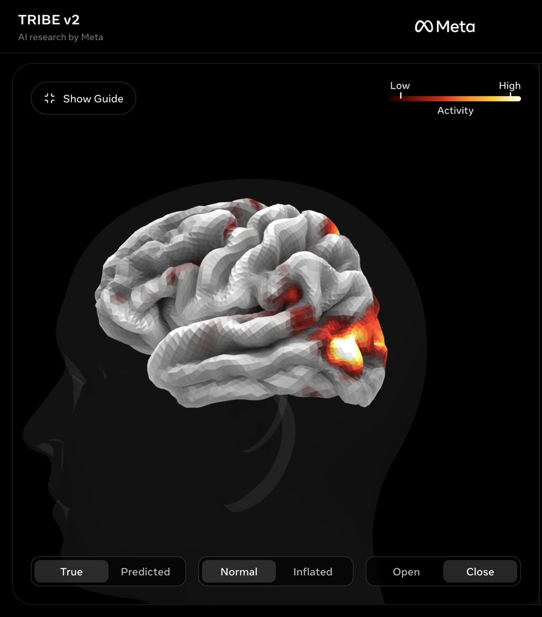 Oliver Andrijevic tweet media