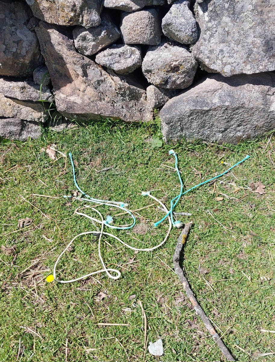 Salvemos La Dehesa tweet media