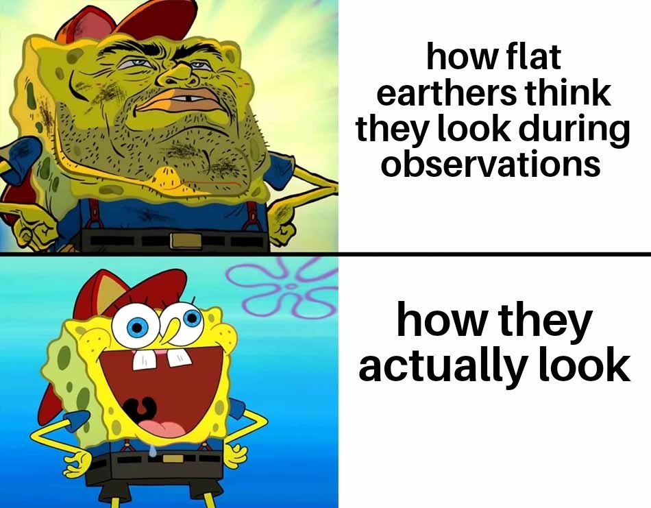 MajesticBison🕹 tweet media