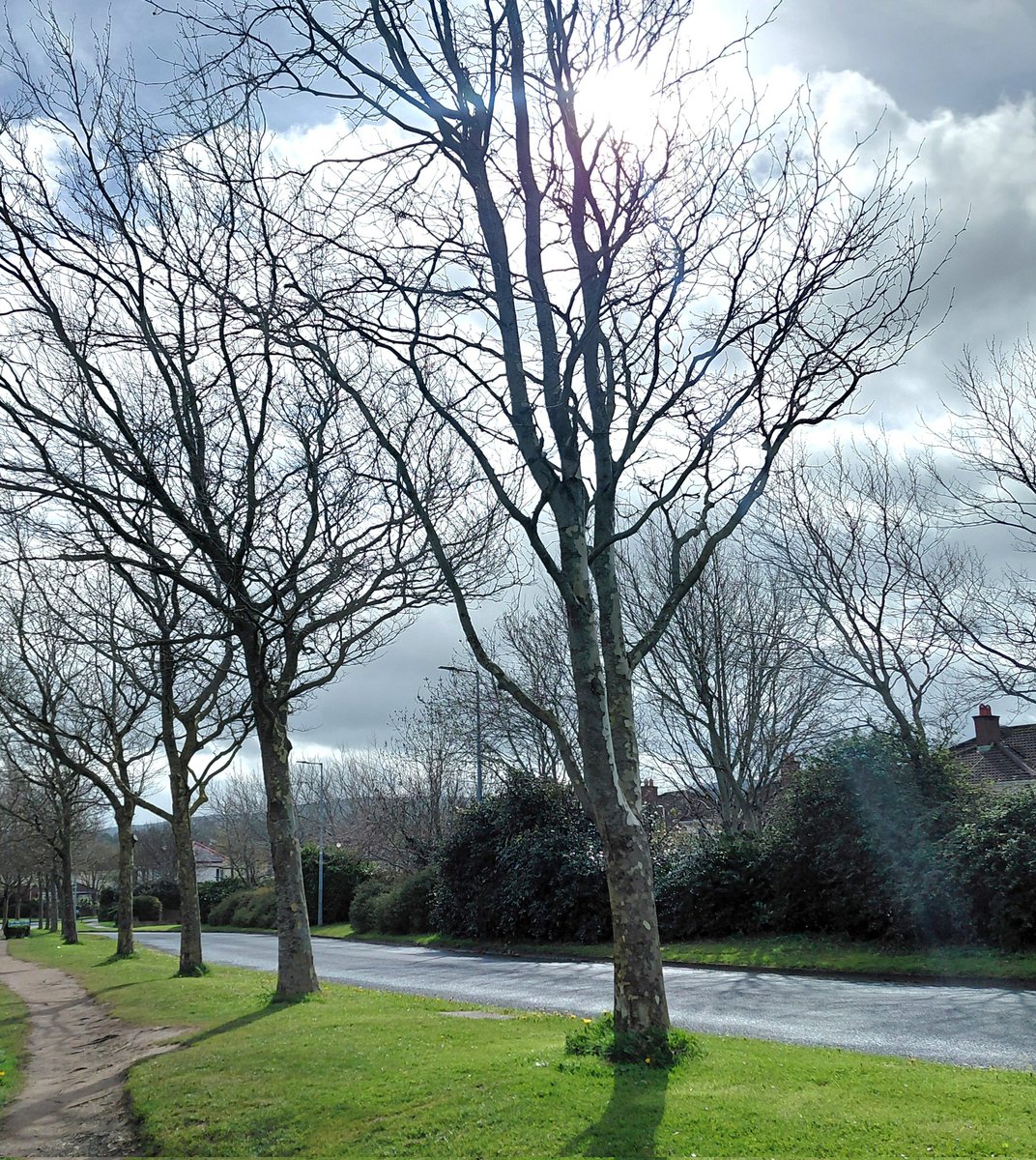 ZoeMillerAuthor's tweet image. Out before #StormDave Wishing a #HappyEaster to all the walking / photography crews 🐣💐🍫#100daysofwalking #round6crew