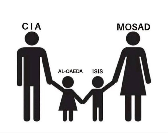 Debbie Calum 🇺🇸🇳🇱 tweet media