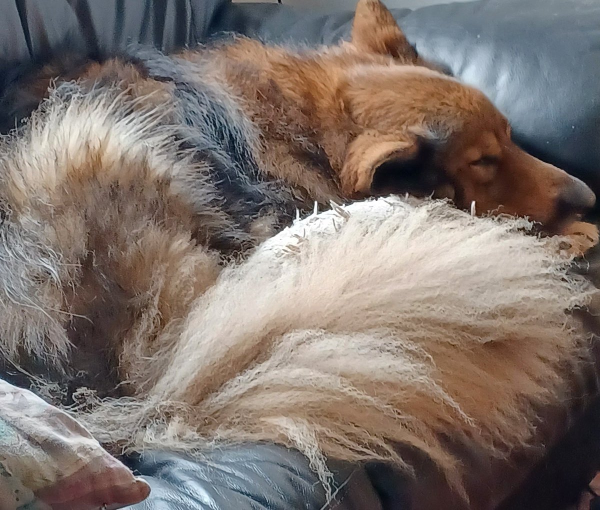 Cheryl 🇬🇧 tweet media