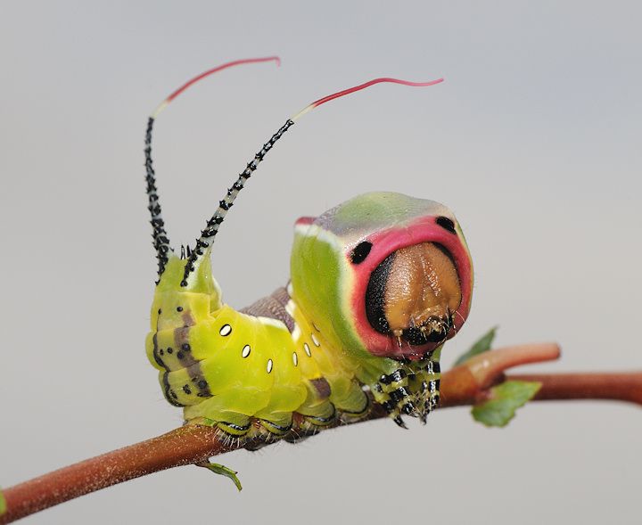 hawa ï๑ tweet media