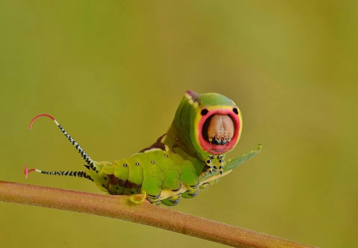 hawa ï๑ tweet media