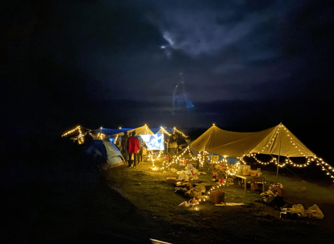 JackieJolly tweet media