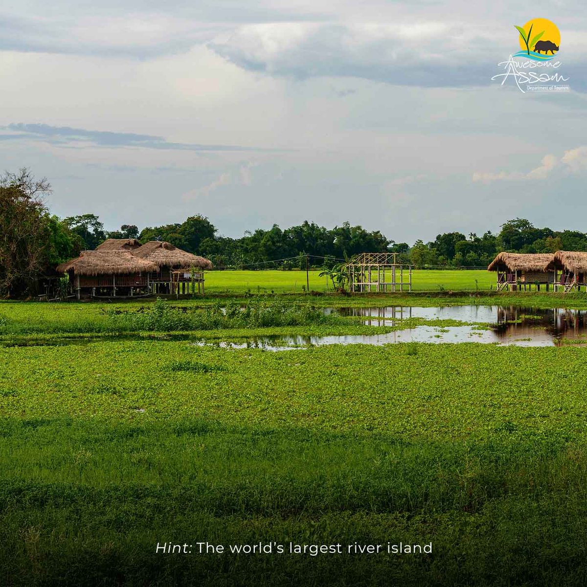 Awesome Assam tweet media