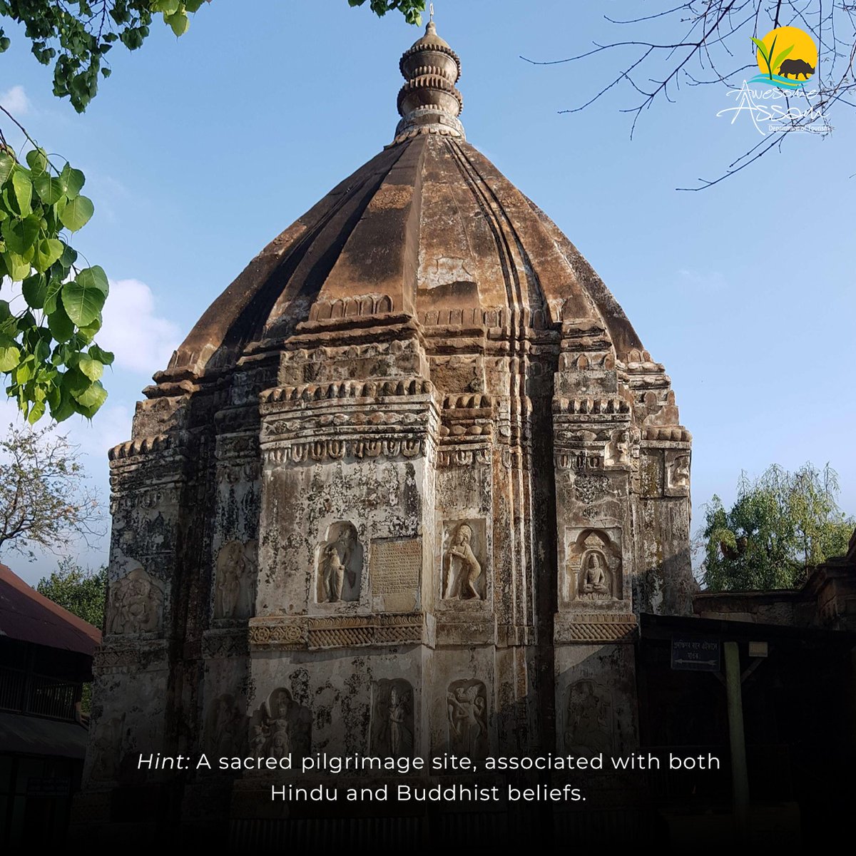 Awesome Assam tweet media